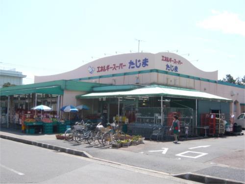 【周辺】エネルギースーパーたじま美浜店（407m）