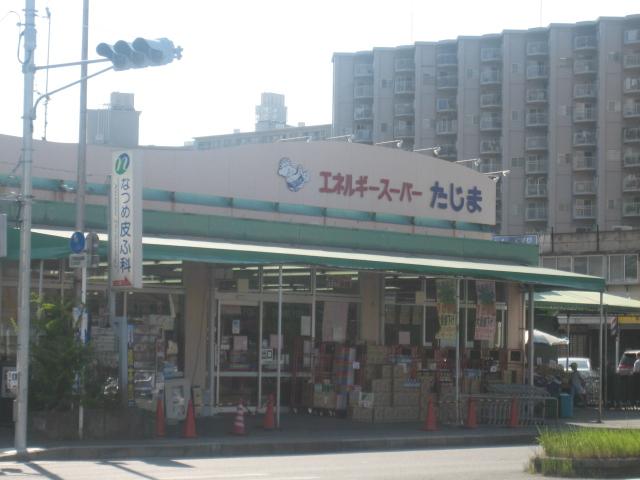 【周辺】エネルギースーパーたじま美浜店（707m）