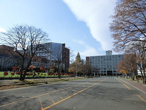 【周辺】私立札幌大学 561m