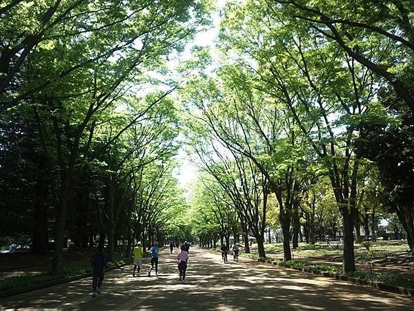 【周辺】駒沢公園。