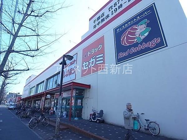 【周辺】ドラッグセガミ干隈店 981m