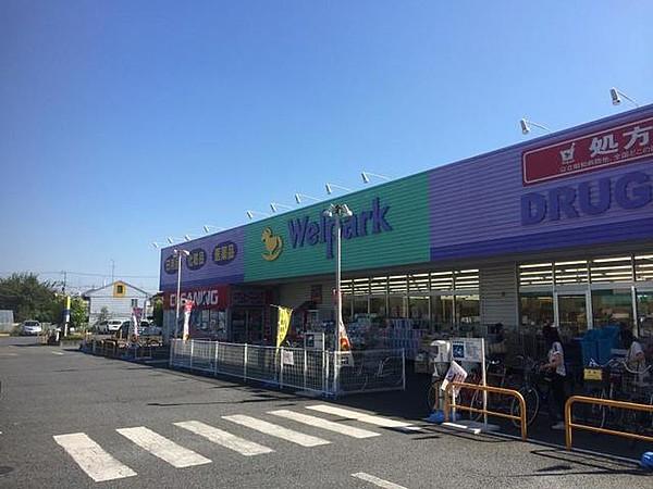 【周辺】ウェルパーク小金井東町店 495m