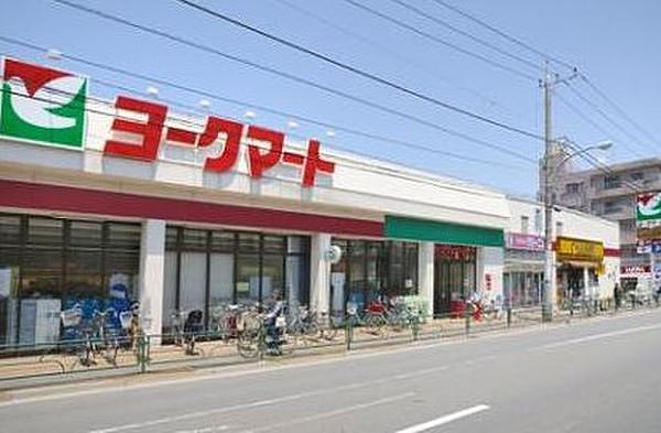 【周辺】ヨークマート 石神井店（509m）