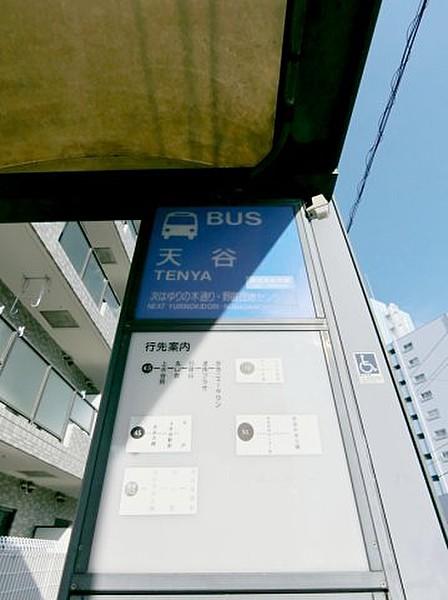 【周辺】バス停「天谷」