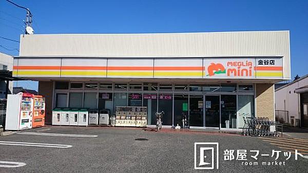 【周辺】スーパートヨタ生協メグリアメグリアミニ金谷店まで581ｍ