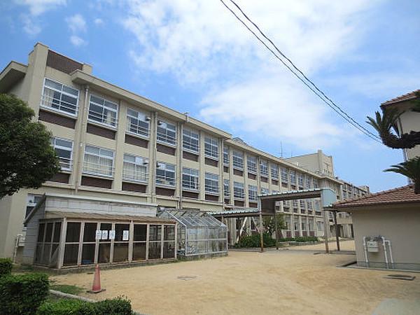 【周辺】小学校神戸市立住吉小学校まで1174ｍ