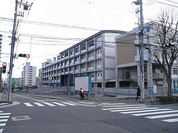 【周辺】高校神戸市立科学技術高等学校まで948ｍ