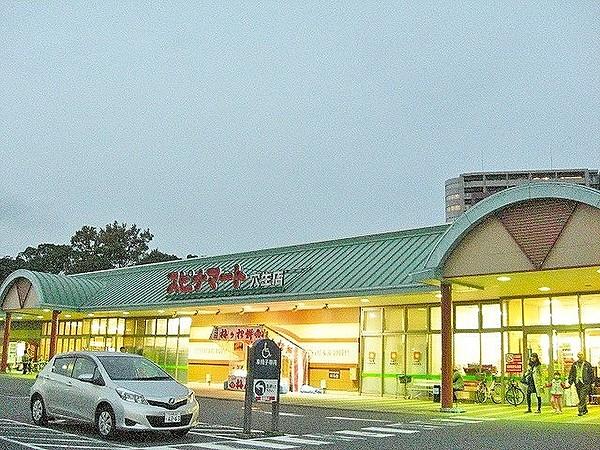 【周辺】西鉄ストア／スピナマート穴生店(255m)