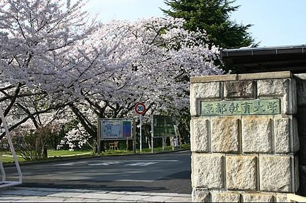 【周辺】京都教育大学（1161m）