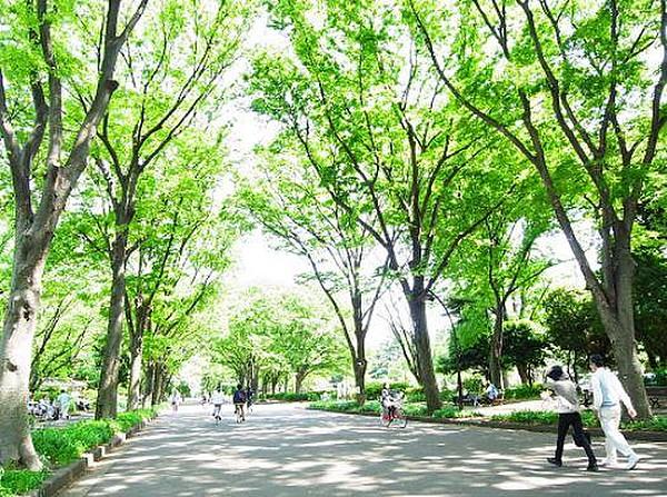 【周辺】公園駒沢公園まで1503ｍ