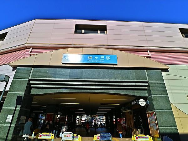 【周辺】小田急線　梅ヶ丘駅まで180m　羽根木公園の最寄り駅で、梅のシーズンには観梅客で賑わいます。駅周辺は飲食店などが充実しています。