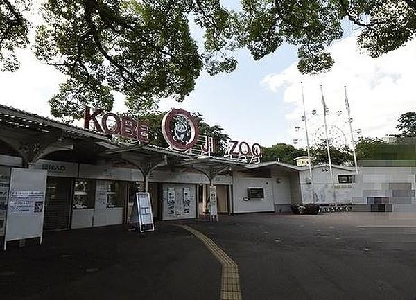 【周辺】動物園神戸市立王子動物園まで712ｍ