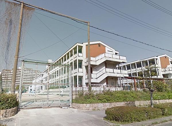【周辺】中学校神戸市立向洋中学校まで458ｍ