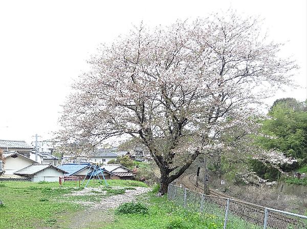【周辺】桜堂公園（837m）