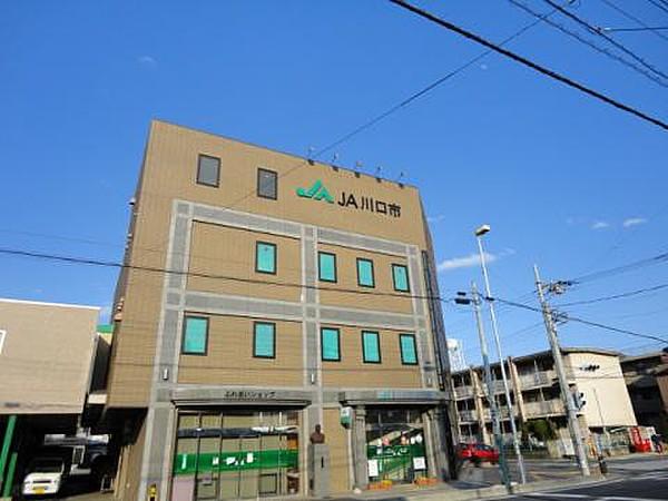 【周辺】銀行JA川口市本店まで916ｍ