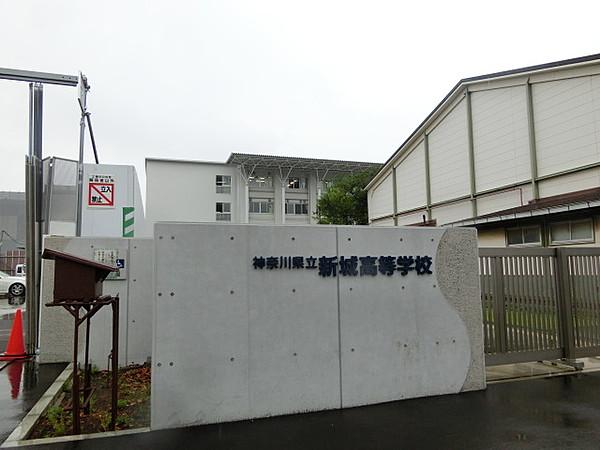 【周辺】高校神奈川県立新城高校まで559ｍ