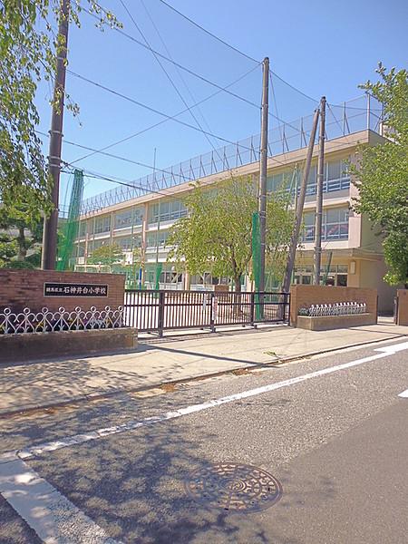 【周辺】石神井台小学校450m