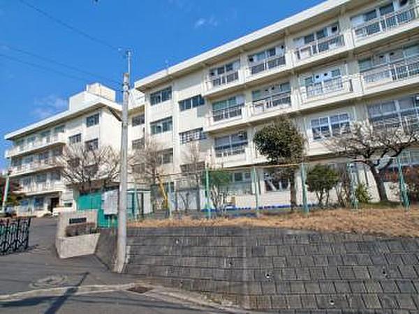 【周辺】横浜市立平戸台小学校231m