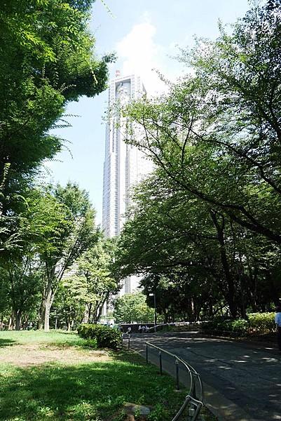 【周辺】新宿中央公園から臨む都庁。朝のお散歩やジョギングコースにも。