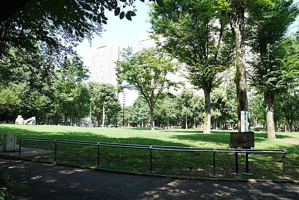 【周辺】新宿中央公園で四季を感じることができます。新宿区内の緑地のうち新宿御苑・明治神宮外苑・戸山公園に次ぐ面積で、新宿区立公園の中では最も広いのです。
