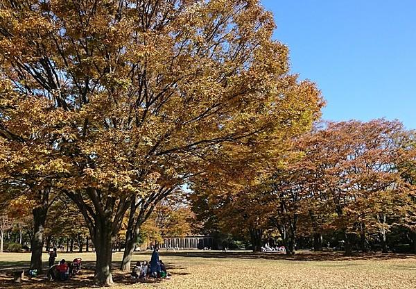 【周辺】四季の移り変わりを感じることができる公園。