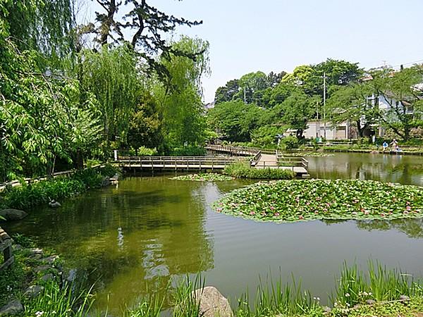 【周辺】公園 500m 白幡池公園  