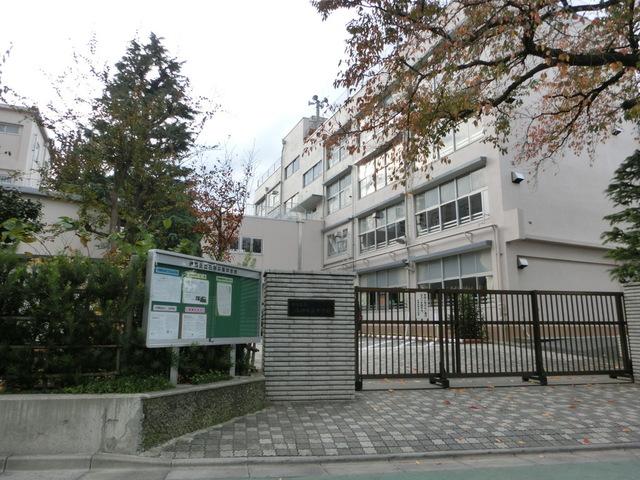 【周辺】石神井南中学校(430m)