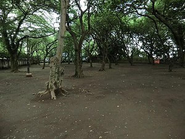 【周辺】周辺環境:上野毛自然公園