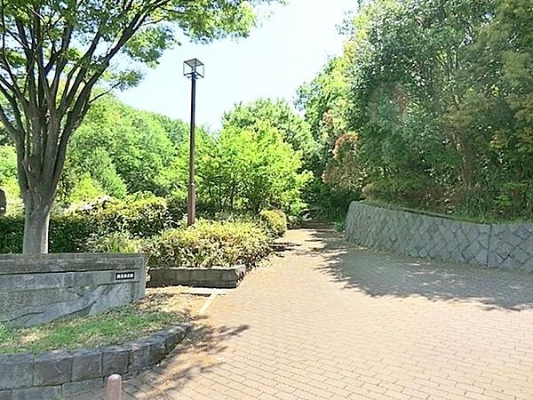 【周辺】飯島南公園まで500m、緑の多い公園です