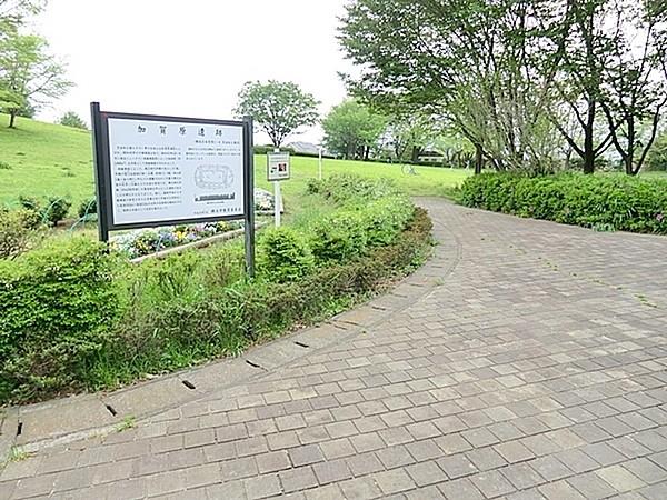 【周辺】”都田西小学校” ”サイ・クリニック” ”月出松公園” まで300m、緑の多い公園です