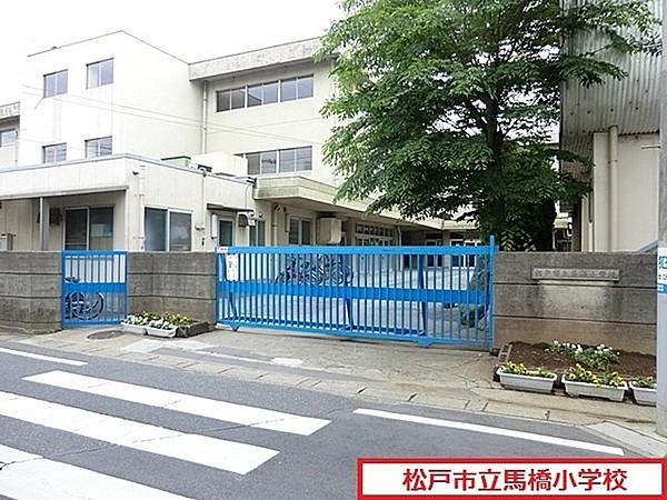 【周辺】松戸市立馬橋小学校まで932m