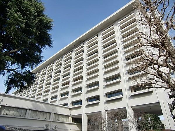 【周辺】東京慈恵会医科大学附属第三病院まで1046m