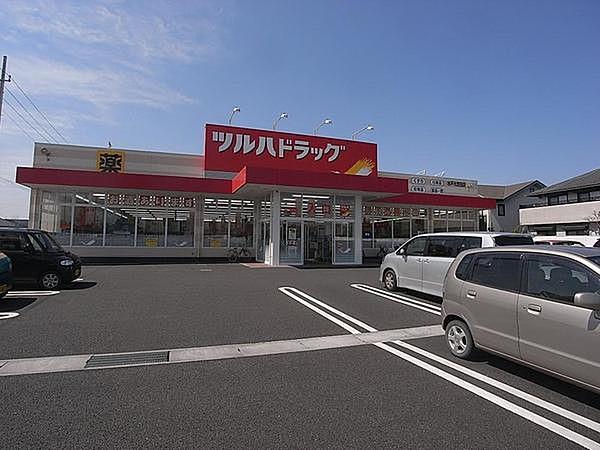 【周辺】ツルハドラッグ水戸元吉田店まで1087m