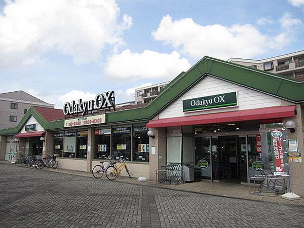 【周辺】OdakyuOX栗平店まで1103m