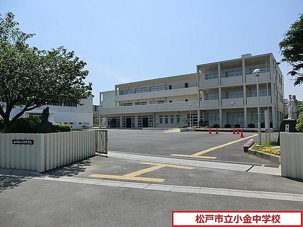 【周辺】松戸市立小金中学校まで667m
