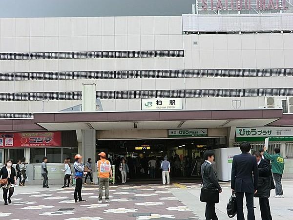 【周辺】柏駅(JR 常磐線)まで1063m、JR常磐線、東武野田線の2路線利用可
