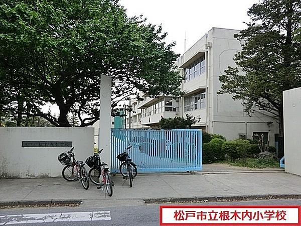 【周辺】松戸市立根木内小学校まで1224m