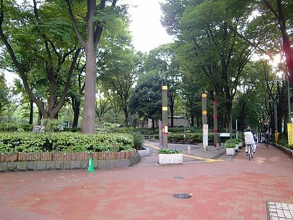 【周辺】新宿中央公園まで412m、四季の移り変わりを実感です