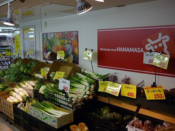 【周辺】肉のハナマサ大森店まで505m