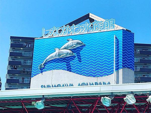 【周辺】しながわ水族館まで940m、都内でも有数の人気スポット。イルカのショーなども行われています。