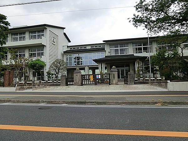 【周辺】秦野市立本町小学校まで306m