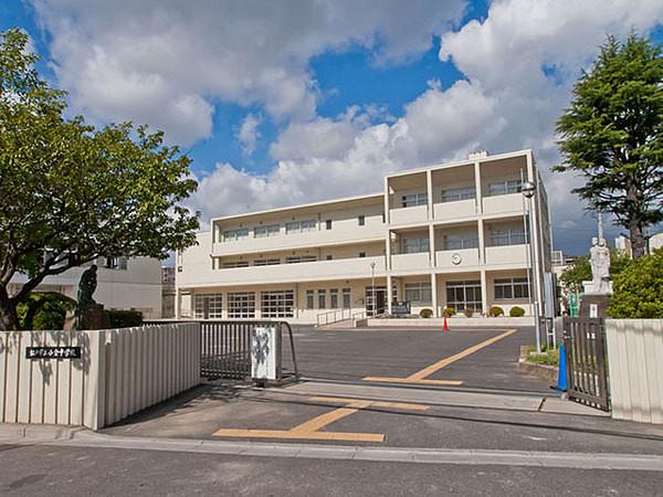 【周辺】松戸市立小金中学校まで1447m