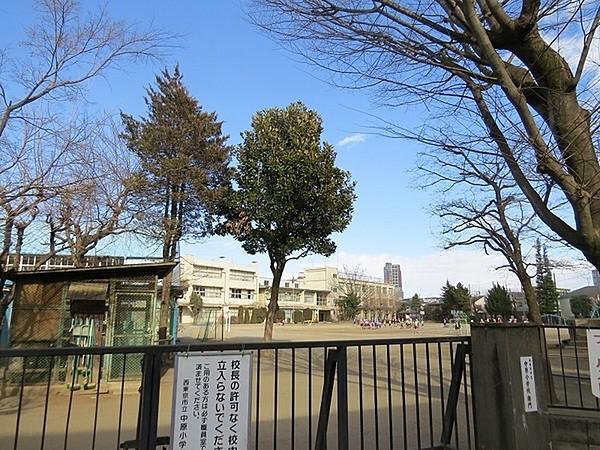 【周辺】西東京市立中原小学校まで1230m
