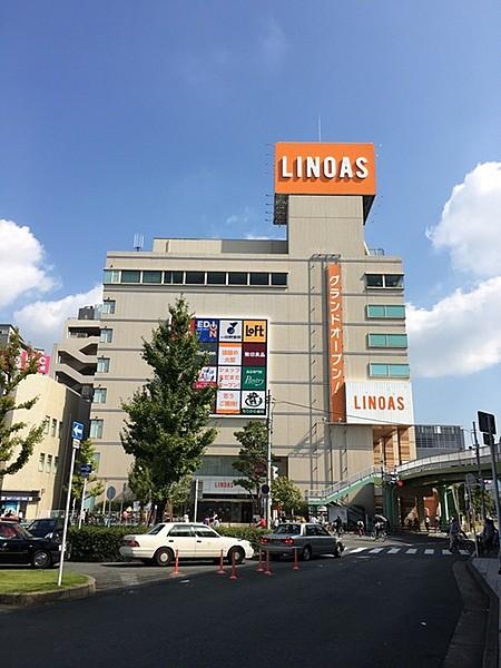 【周辺】LINOASまで731m