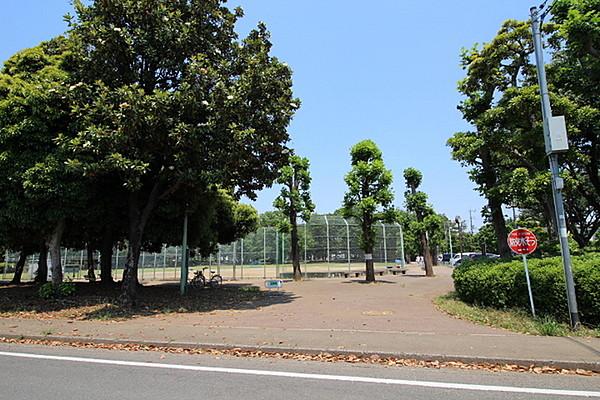【周辺】富士見中央近隣公園まで499m