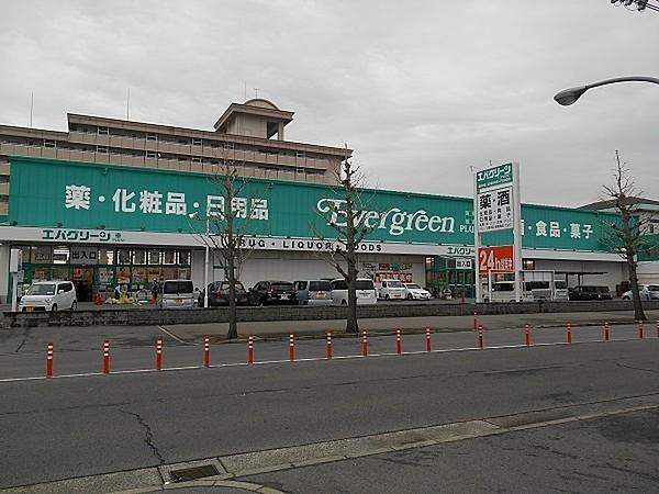【周辺】エバグリーンプラス広瀬店まで1005m