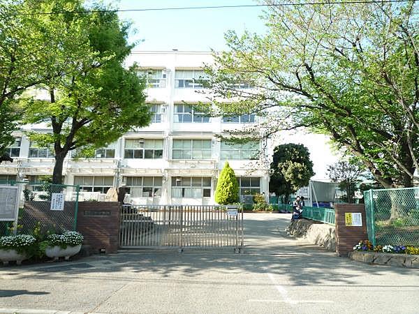 【周辺】中学校(1800m)樽町中学校