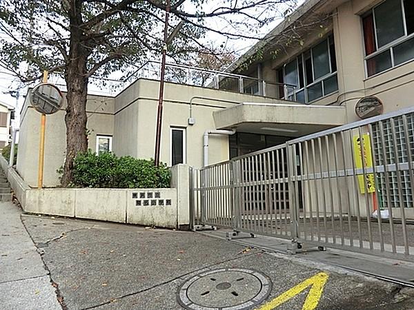 【周辺】横浜市立菊名小学校まで250m