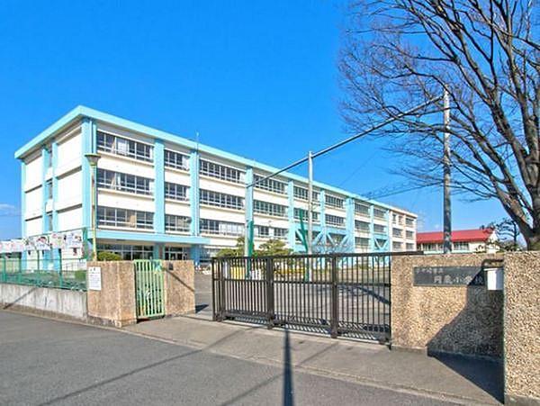 【周辺】円蔵小学校まで517m