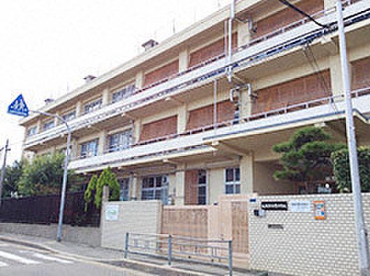 【周辺】大阪市立白鷺中学校まで163m